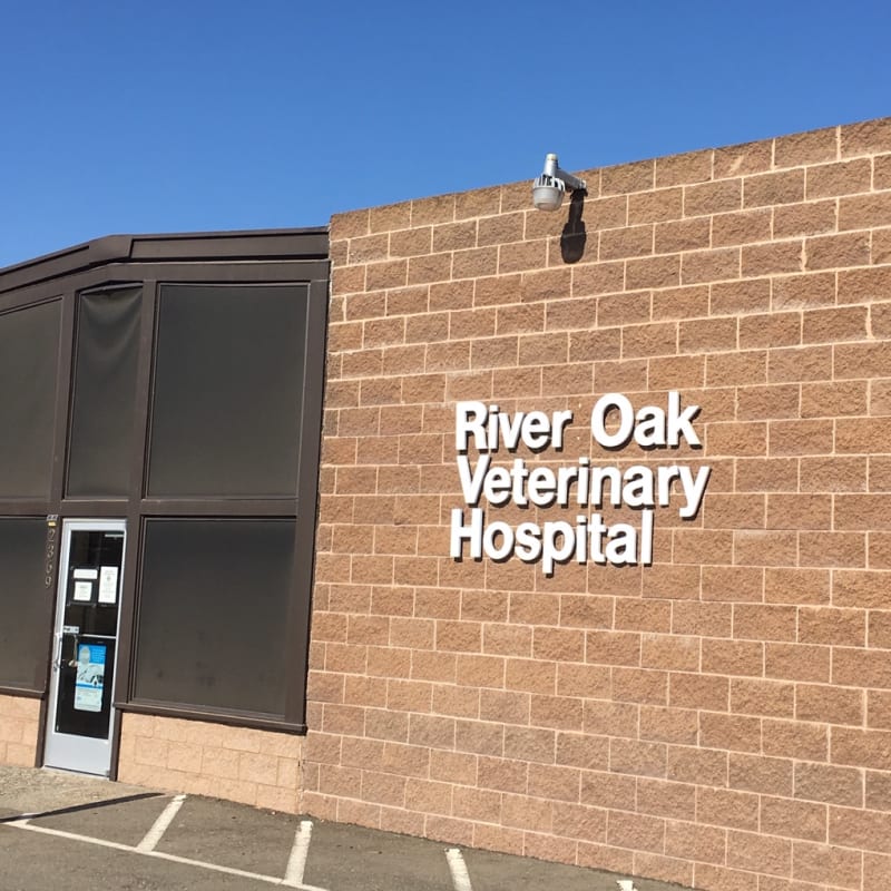River Oak Veterinary Hospital in Riverbank
