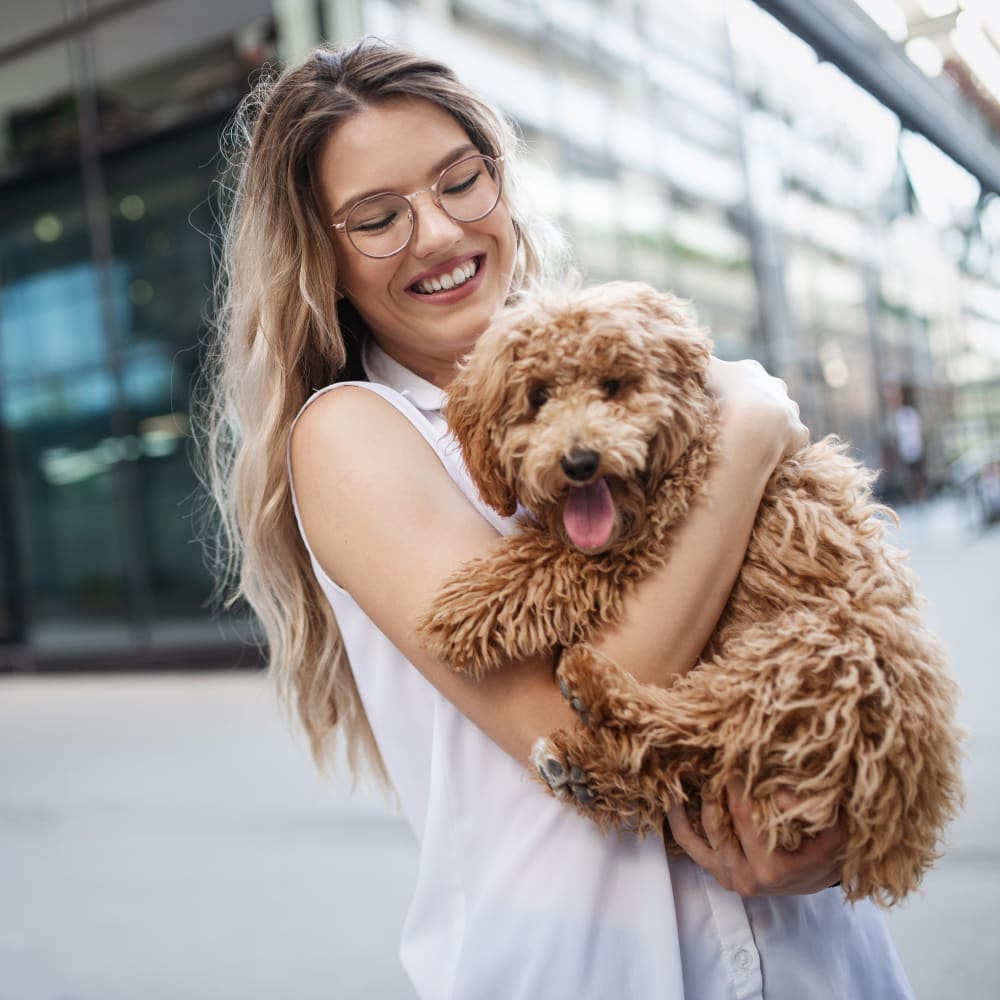 Welcome to River Oak Veterinary Hospital | Riverbank vet Welcome to River Oak Veterinary Hospital | Riverbank vet