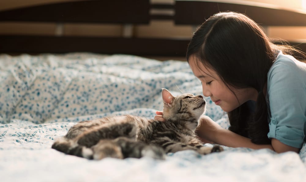 Senior Pet Care at Riverbank pet hospital